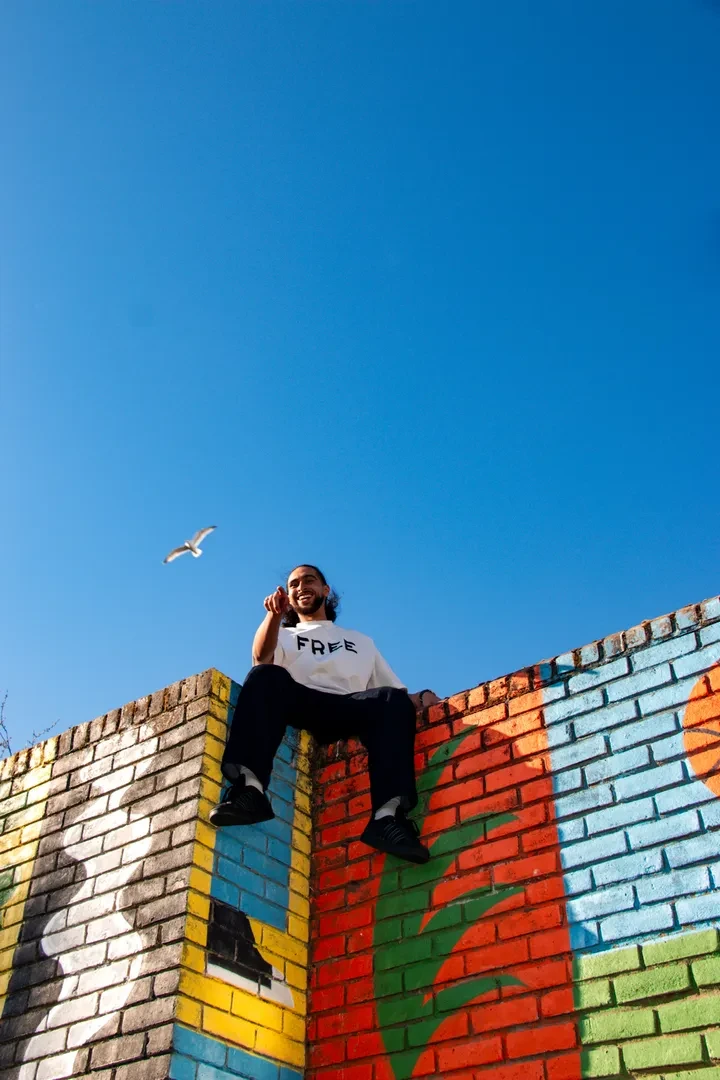 A young person is sitting on top of a brick wall adorned with colorful murals, laughing and pointing to the viewer and wearing a white t-shirt with "FREE" written in black on it. The sky in the background is cloudless and blue, and a seagull flies over the person's head.